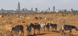 nairobi