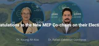 cochairs